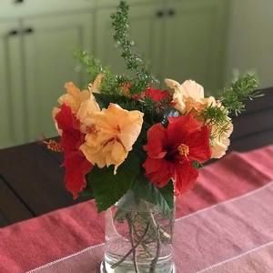 Meet your Posher, Mary jo